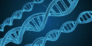 Epigenetyka - DNA określa nas czy my określamy DNA?